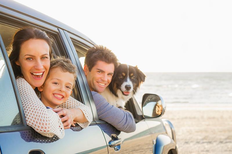 family and dog in car at the beach